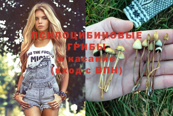 твердый Балахна